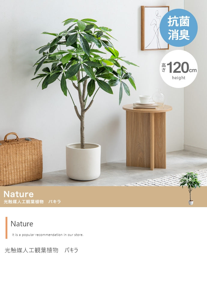 【高さ120cm】Nature 光触媒人工観葉植物 パキラ