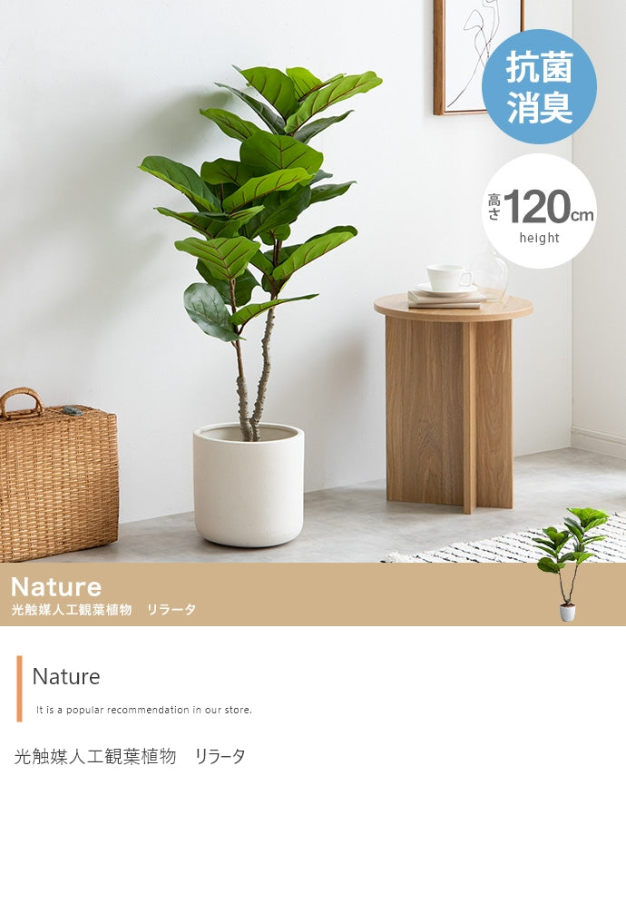 【高さ120cm】Nature 光触媒人工観葉植物 リラータ