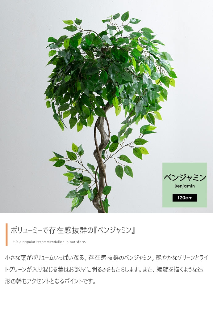 【高さ120cm】Nature 光触媒人工観葉植物 ベンジャミン