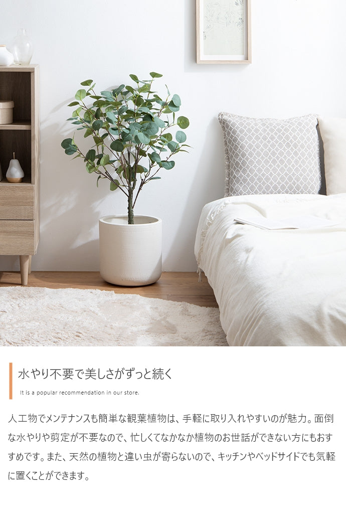 【高さ120cm】Nature 光触媒人工観葉植物 ベンジャミン