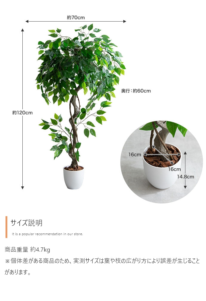 【高さ120cm】Nature 光触媒人工観葉植物 ベンジャミン