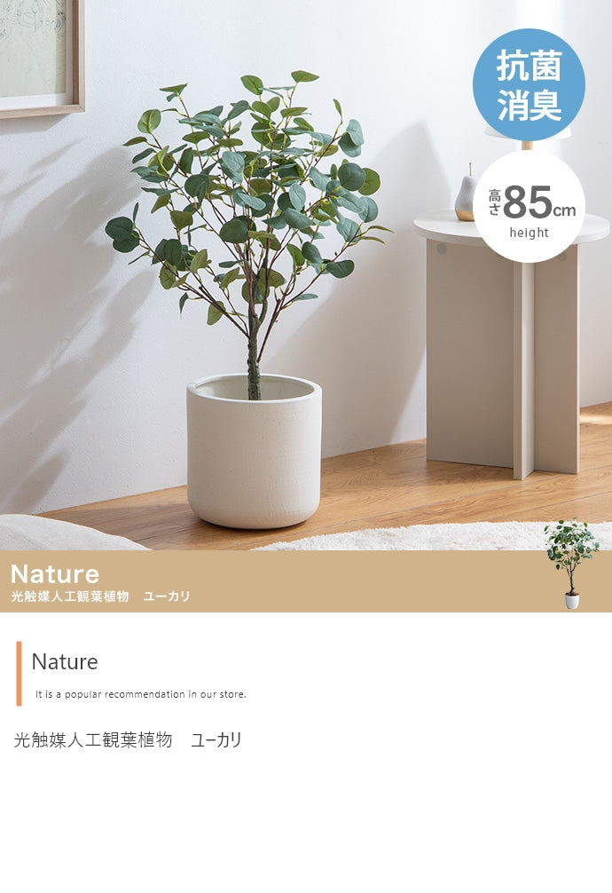 【高さ85cm】Nature 光触媒人工観葉植物 ユーカリ