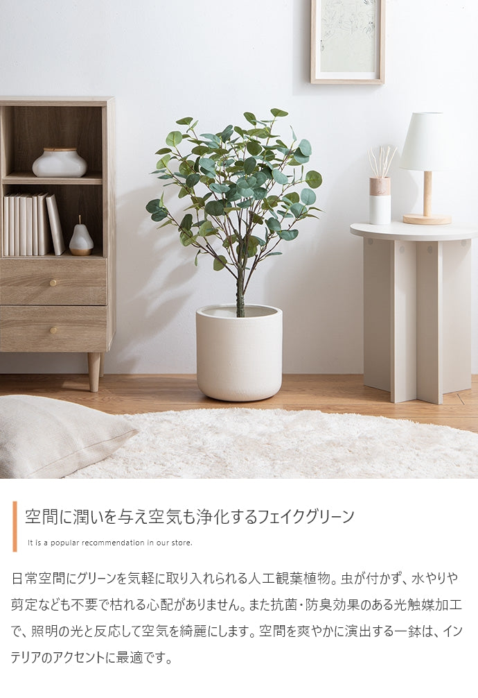 【高さ85cm】Nature 光触媒人工観葉植物 ユーカリ