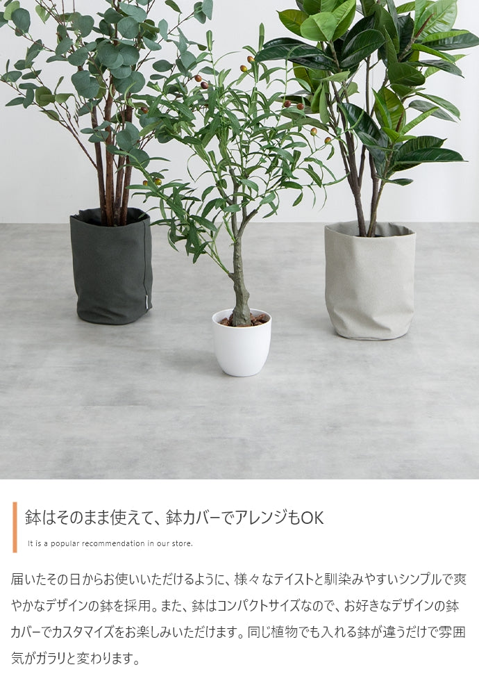 【高さ85cm】Nature 光触媒人工観葉植物 ユーカリ
