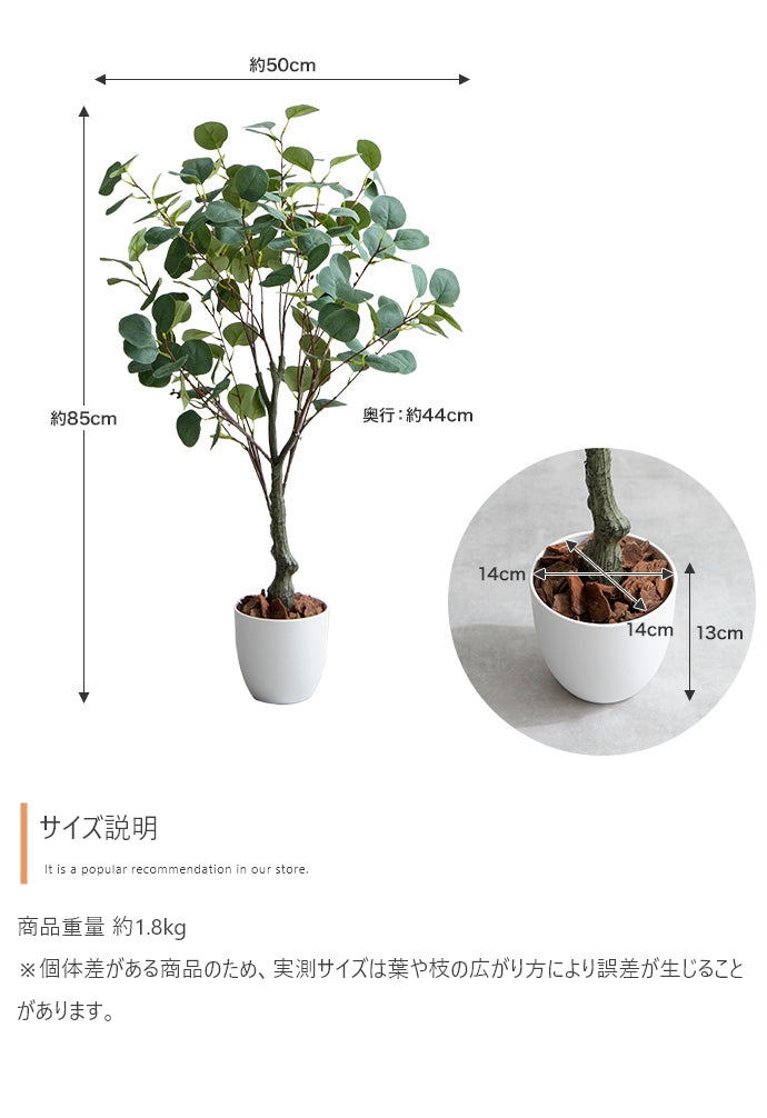【高さ85cm】Nature 光触媒人工観葉植物 ユーカリ