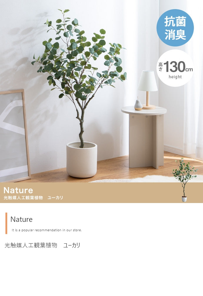 【高さ130cm】Nature 光触媒人工観葉植物 ユーカリ