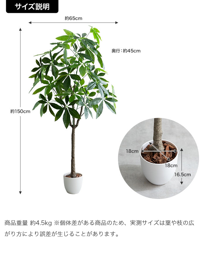 【高さ150cm】Nature 光触媒人工観葉植物 パキラ