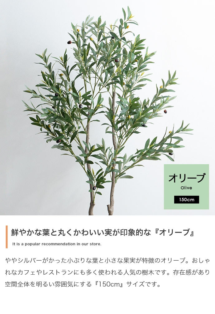 【高さ150cm】Nature 光触媒人工観葉植物 オリーブ