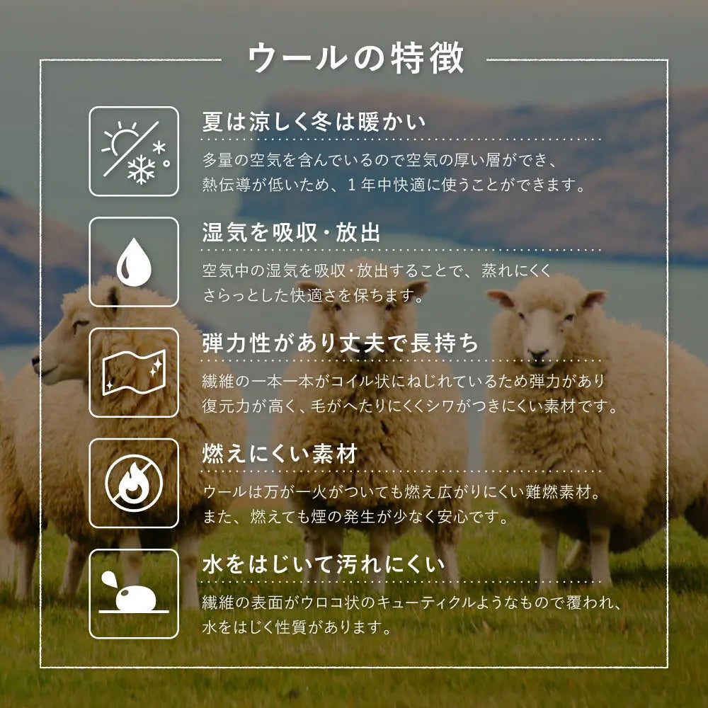 ギャッベ ラグ 約200×200cm ギャベ GABBEH L16 L17 ウール 無染色ウール 羊毛 アクセントラグ ホットカーペット対応 床暖房対応 HAGIHARA