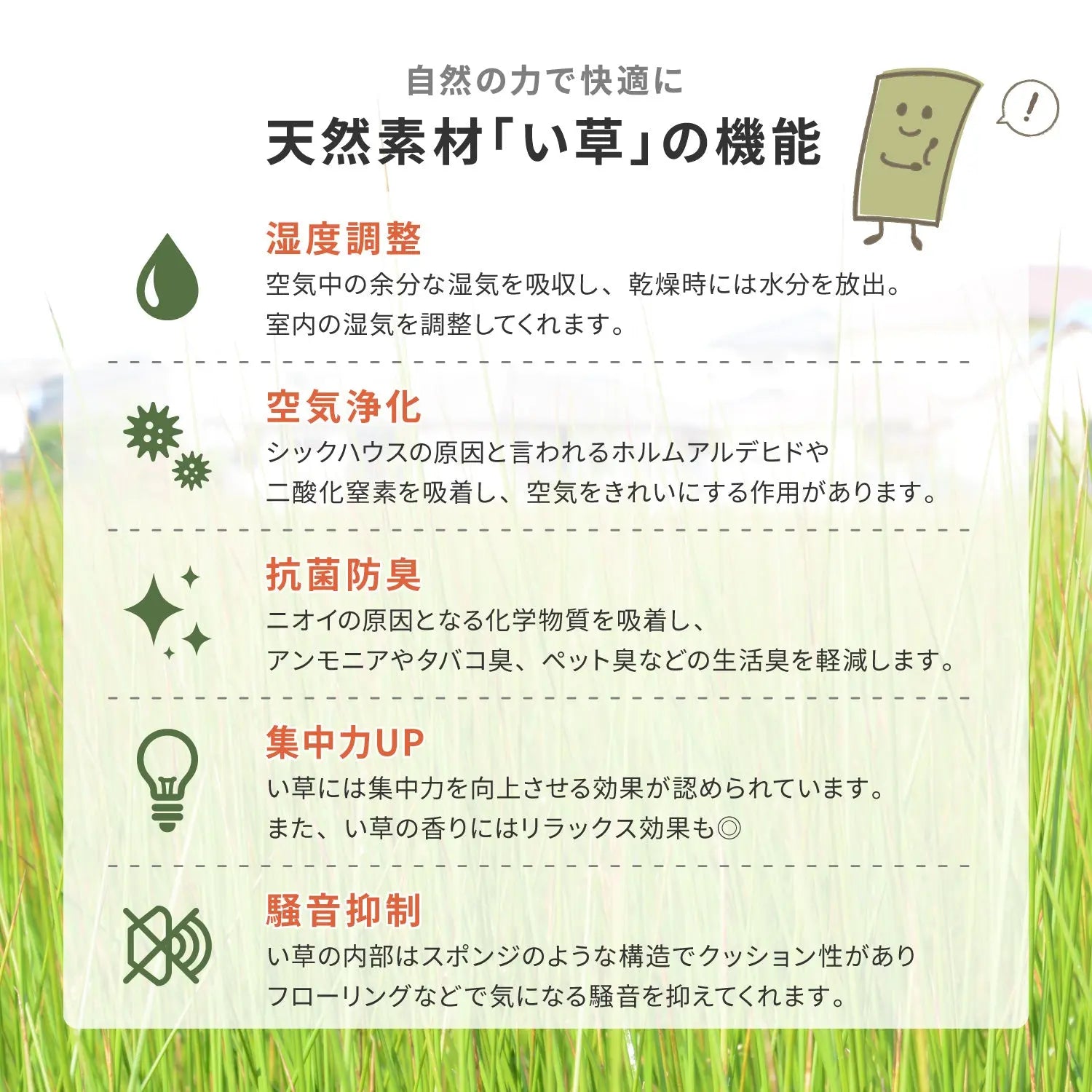 国産 い草 平枕 約32×22×10cm まくら 倉敷帆布 ソフティル せとのとシリーズ ふわもち 日本製 HAGIHARA