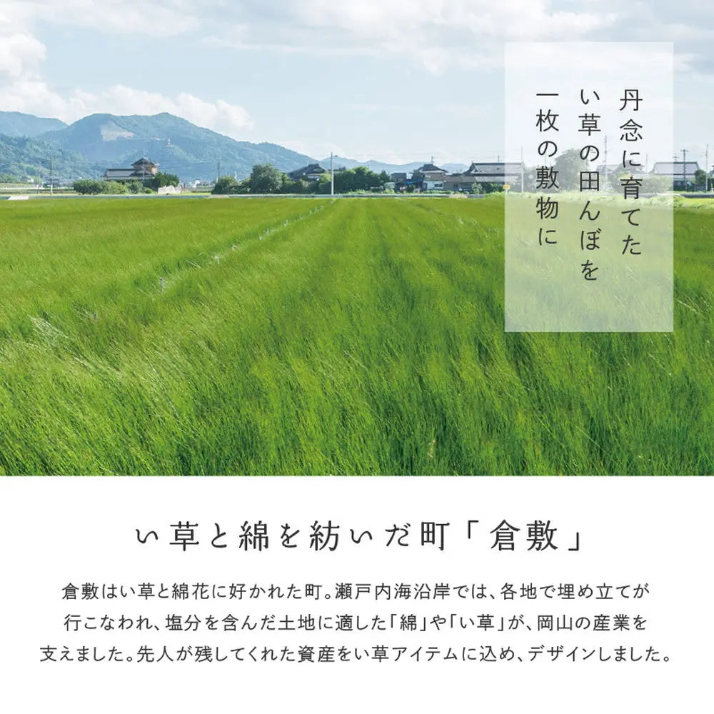 国産い草カーペット せとのと 倉ノ戸 本間 8帖 8畳 柄上敷き 花ござ い草ラグ HAGIHARA