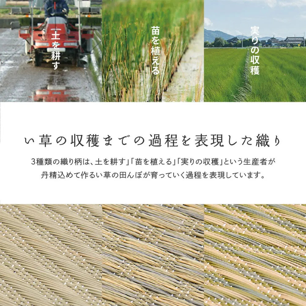 国産い草カーペット せとのと 倉ノ戸 本間 8帖 8畳 柄上敷き 花ござ い草ラグ HAGIHARA