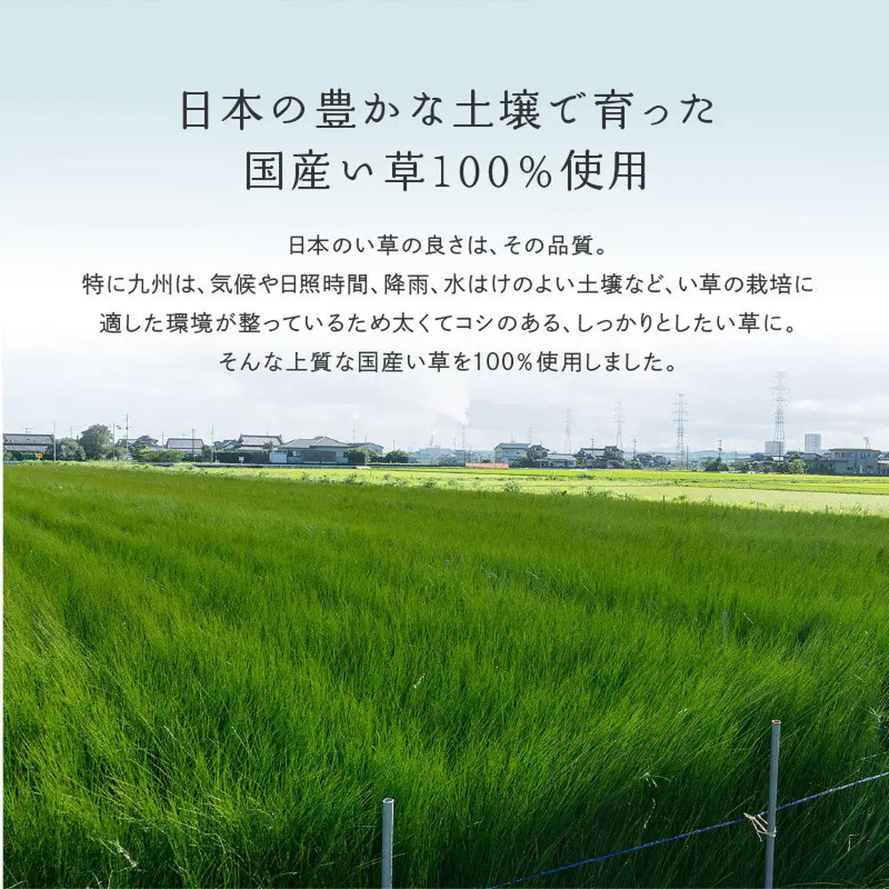 国産い草カーペット せとのと 倉ノ戸 本間 8帖 8畳 柄上敷き 花ござ い草ラグ HAGIHARA
