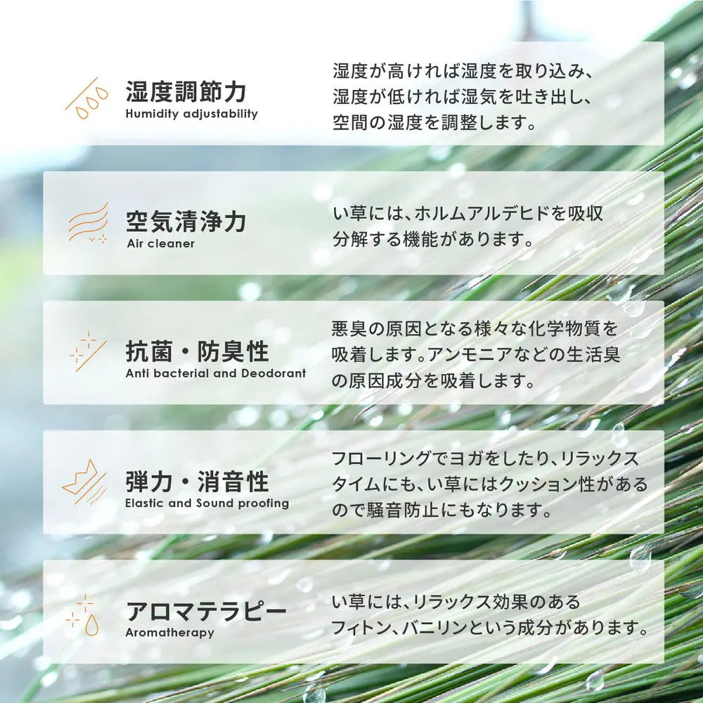 はっ水 い草ラグ キハチ 約120×180cm 撥水 抗カビ 折りたためる コンパクト 滑り止め付き HAGIHARA