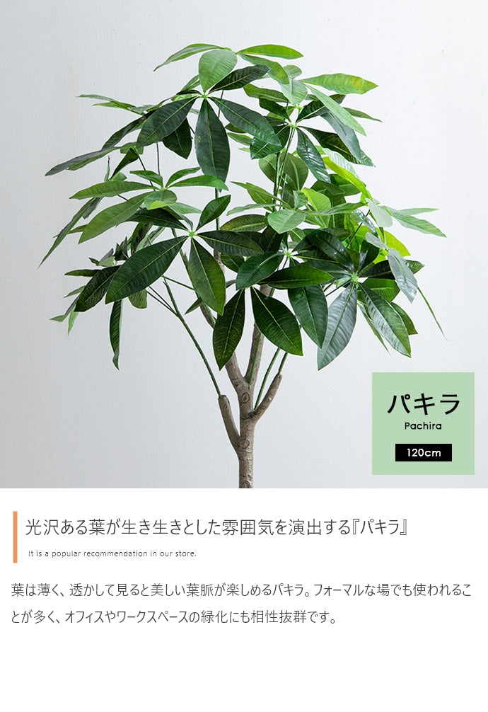 【高さ120cm】Nature 光触媒人工観葉植物　パキラ