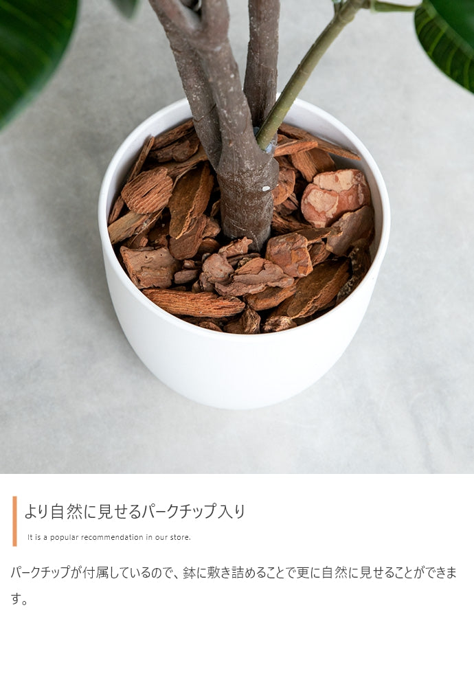 【高さ120cm】Nature 光触媒人工観葉植物　パキラ