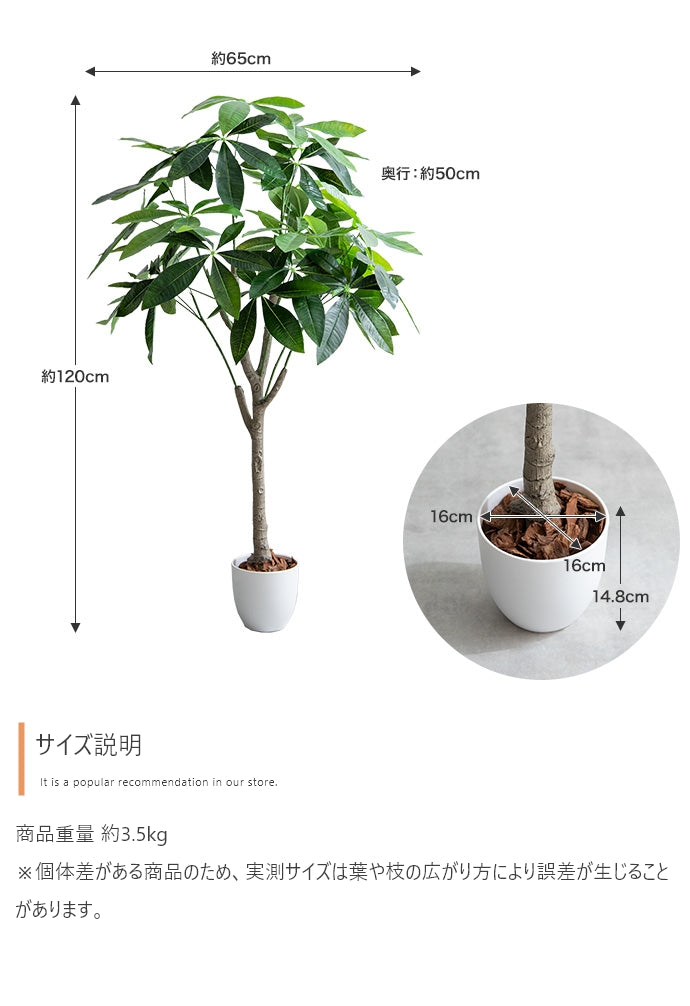 【高さ120cm】Nature 光触媒人工観葉植物　パキラ