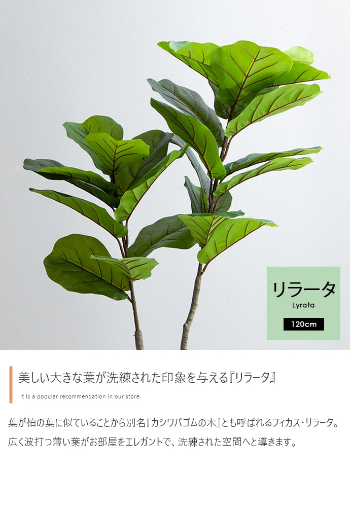【高さ120cm】Nature 光触媒人工観葉植物　リラータ