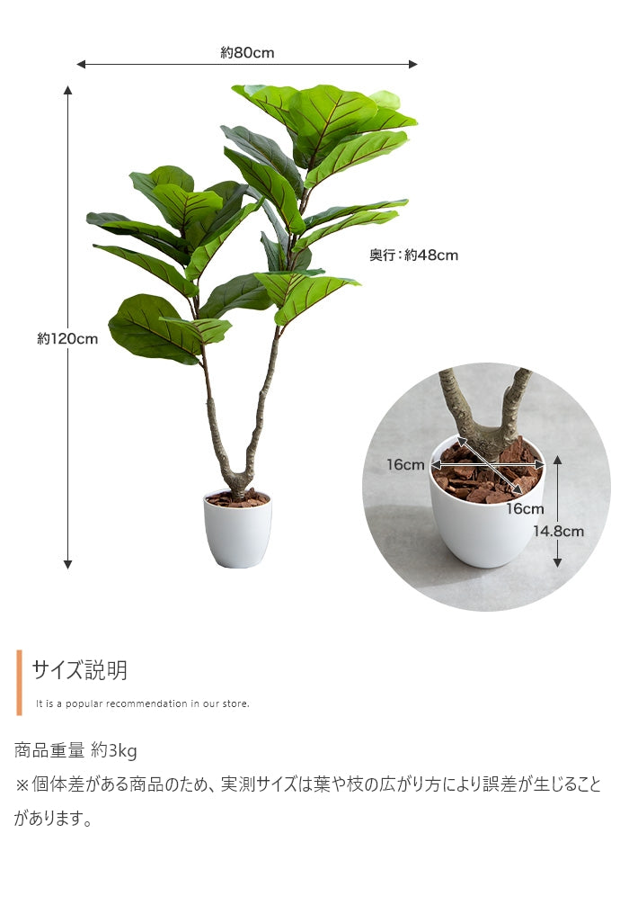 【高さ120cm】Nature 光触媒人工観葉植物　リラータ