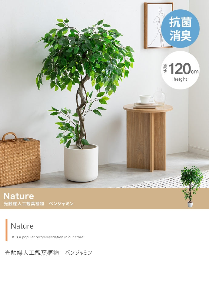 【高さ120cm】Nature 光触媒人工観葉植物　ベンジャミン