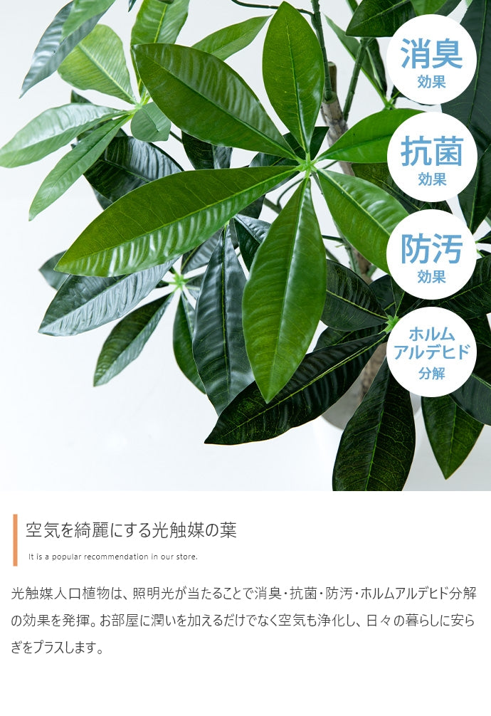 【高さ120cm】Nature 光触媒人工観葉植物　ベンジャミン