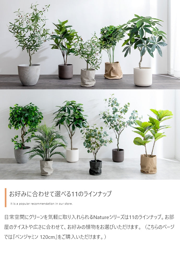 【高さ120cm】Nature 光触媒人工観葉植物　ベンジャミン