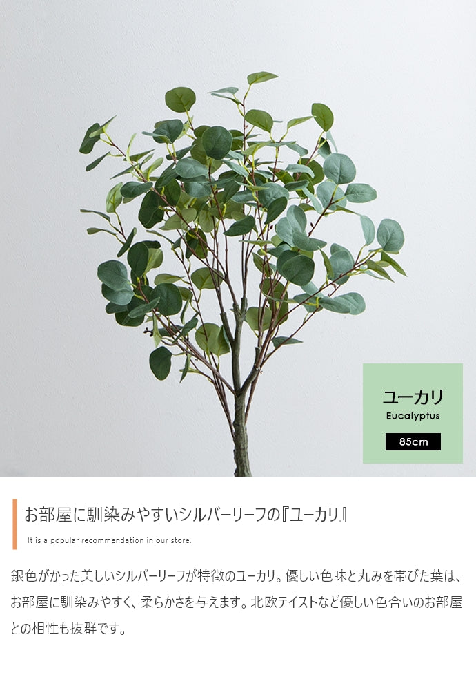 【高さ85cm】Nature 光触媒人工観葉植物　ユーカリ