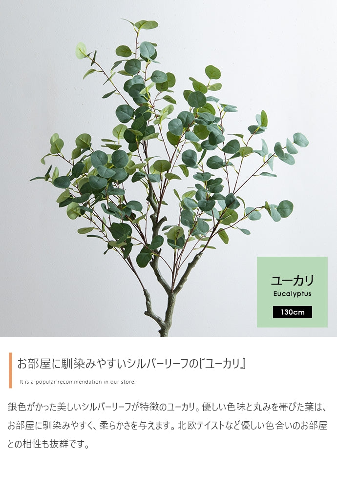 【高さ130cm】Nature 光触媒人工観葉植物　ユーカリ