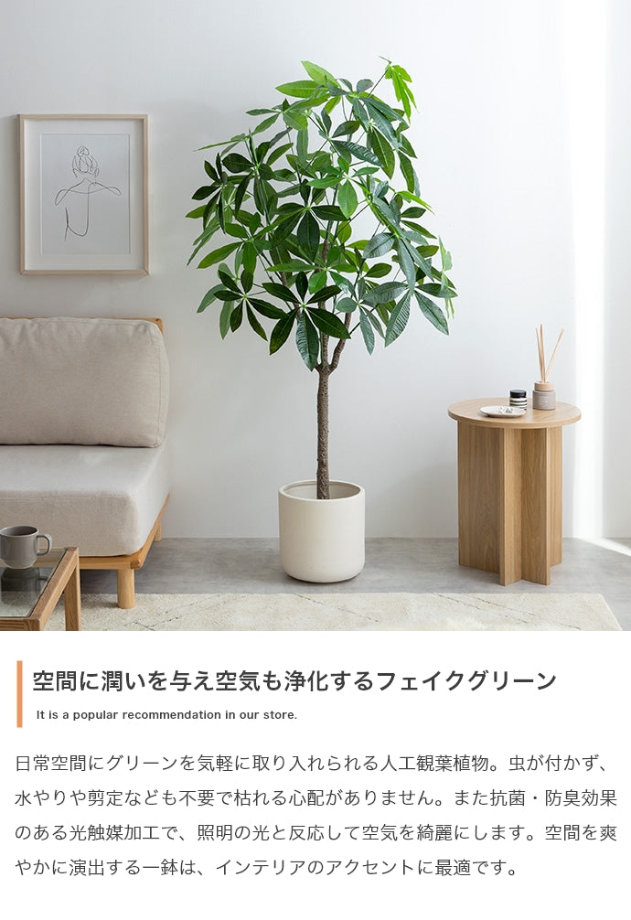 【高さ150cm】Nature 光触媒人工観葉植物 パキラ