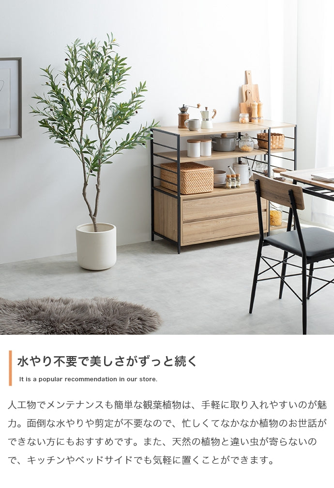 【高さ150cm】Nature 光触媒人工観葉植物 パキラ