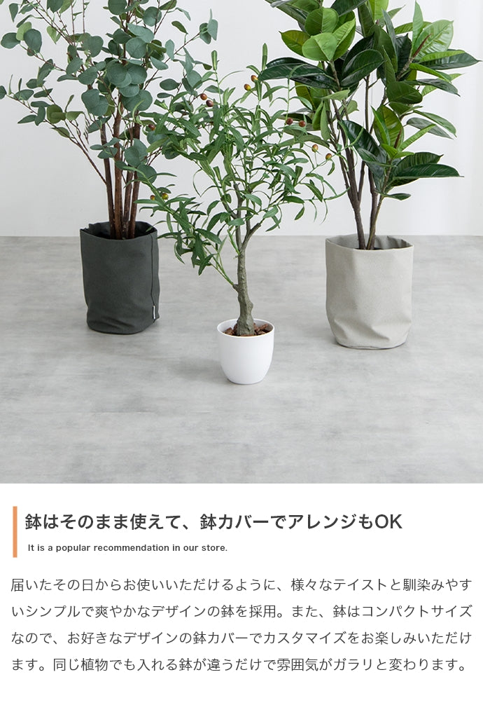 【高さ150cm】Nature 光触媒人工観葉植物 パキラ