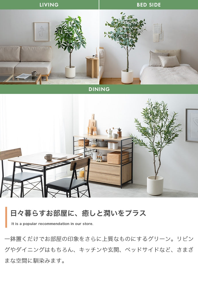 【高さ150cm】Nature 光触媒人工観葉植物 パキラ