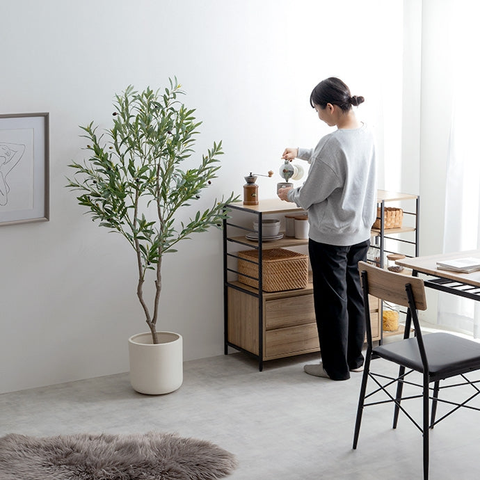 【高さ150cm】Nature 光触媒人工観葉植物 パキラ