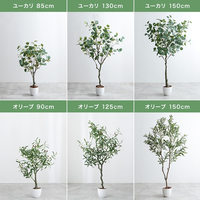 【高さ150cm】Nature 光触媒人工観葉植物 パキラ