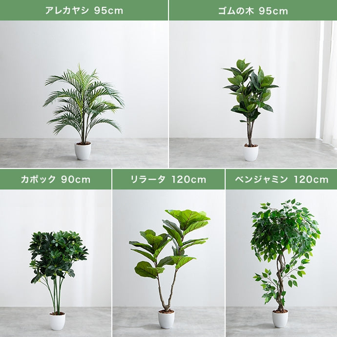 【高さ150cm】Nature 光触媒人工観葉植物 パキラ