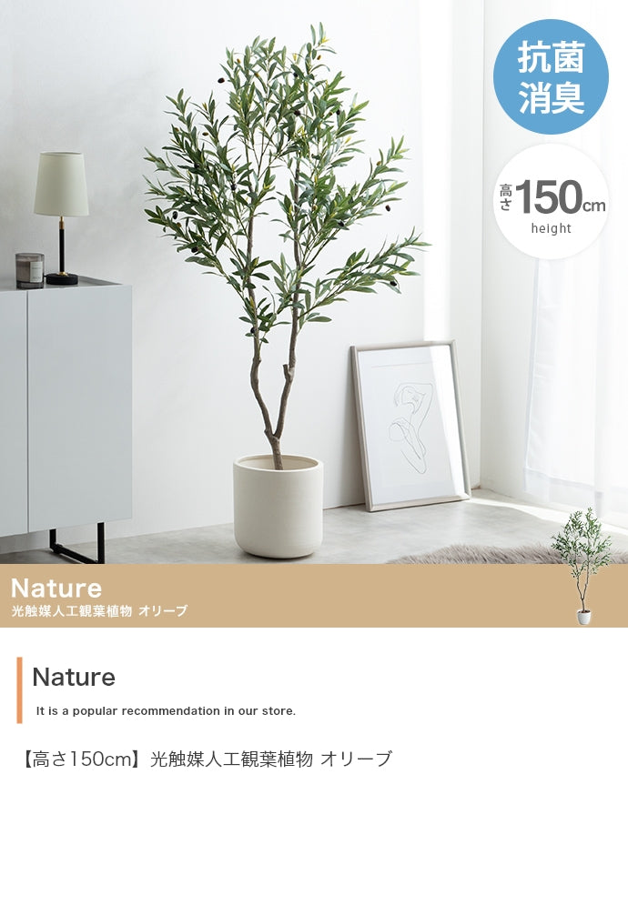 【高さ150cm】Nature 光触媒人工観葉植物 オリーブ
