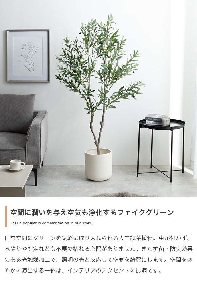 【高さ150cm】Nature 光触媒人工観葉植物 オリーブ