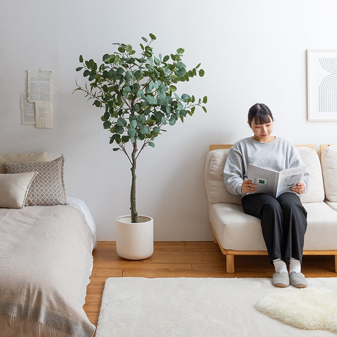 【高さ150cm】Nature 光触媒人工観葉植物 オリーブ
