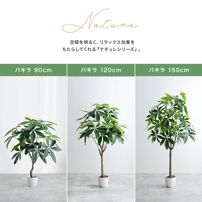 【高さ150cm】Nature 光触媒人工観葉植物 オリーブ