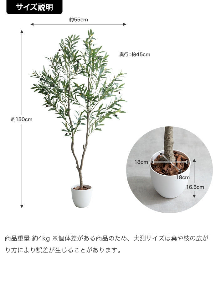 【高さ150cm】Nature 光触媒人工観葉植物 オリーブ