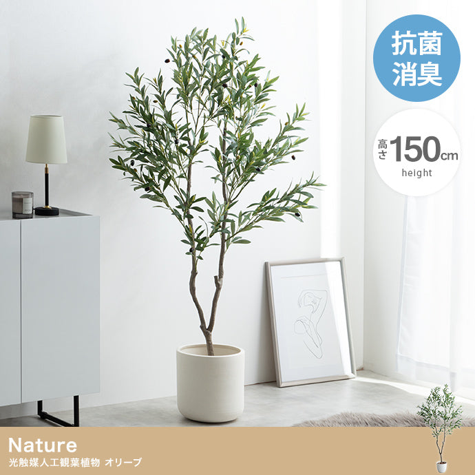【高さ150cm】Nature 光触媒人工観葉植物 オリーブ
