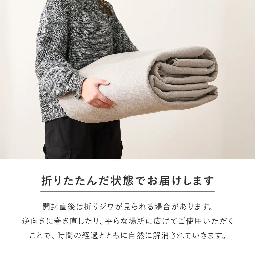 ラグ カーペット ランス 約176×261cm 江戸間3帖 大判ラグ 薄手 敷き詰め シェニール シンプル 無地 HAGIHARA