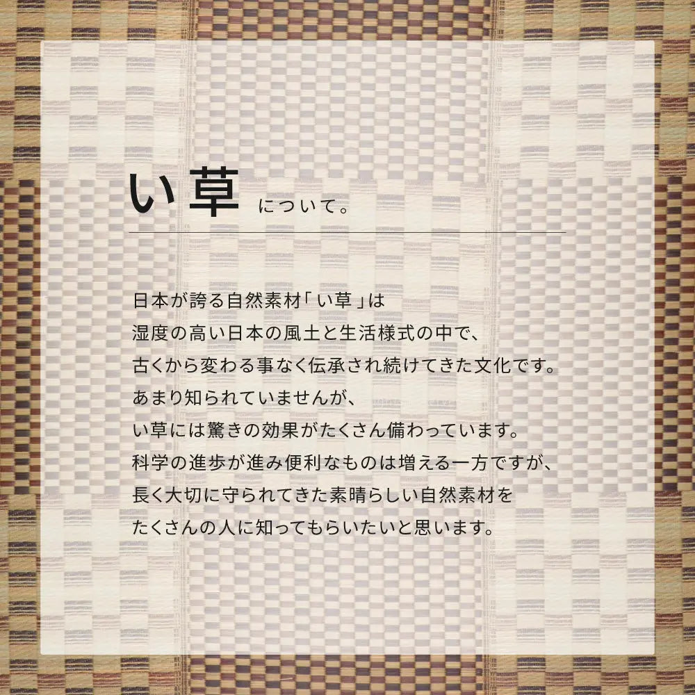はっ水 ふっくらウレタン入り い草ラグ キハチ 約180×240cm 撥水 抗カビ 折りたためる コンパクト 滑り止め付き HAGIHARA