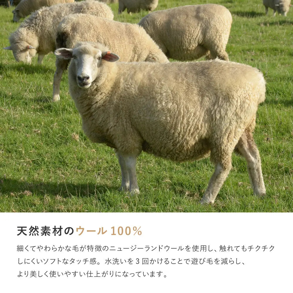 ギャッベ ラグ 約200×200cm ギャベ GABBEH L16 L17 ウール 無染色ウール 羊毛 アクセントラグ ホットカーペット対応 床暖房対応 HAGIHARA