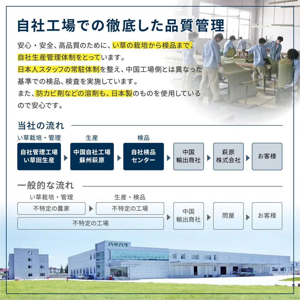 はっ水 ふっくらウレタン入り い草ラグ キハチ 約240×240cm 撥水 抗カビ 折りたためる コンパクト 滑り止め付き HAGIHARA