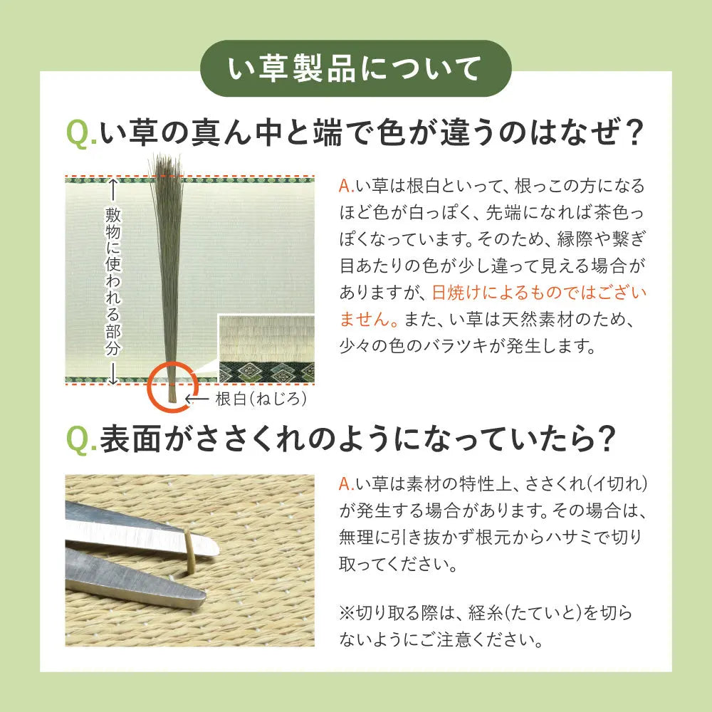 い草ラグ クレパス 約240×300cm 12mmウレタン ふっくら 厚手 HAGIHARA