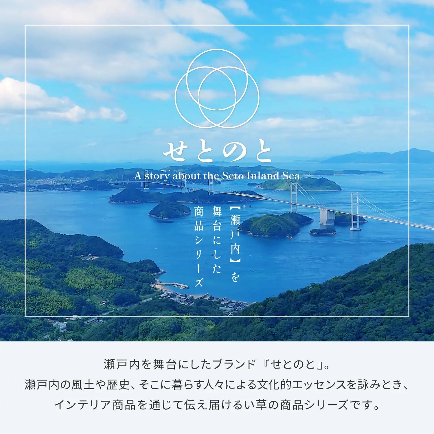 【2個セット】国産 い草 平枕 約32×22×10cm まくら 倉敷帆布 ソフティル せとのとシリーズ ふわもち 日本製 HAGIHARA