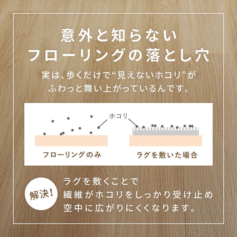 ダイニングラグ モニカ 約240×330cm 防ダニ 抗菌 防臭 防汚 はっ水 撥水 ホットカーペット対応 床暖房対応 タフトラグ カーペット HAGIHARA