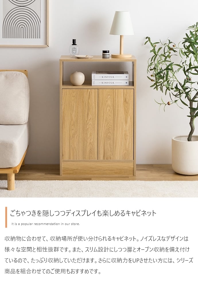 [幅55cm] キャビネット シンプル ノイズレスデザイン コード穴付き エコロファニチャー