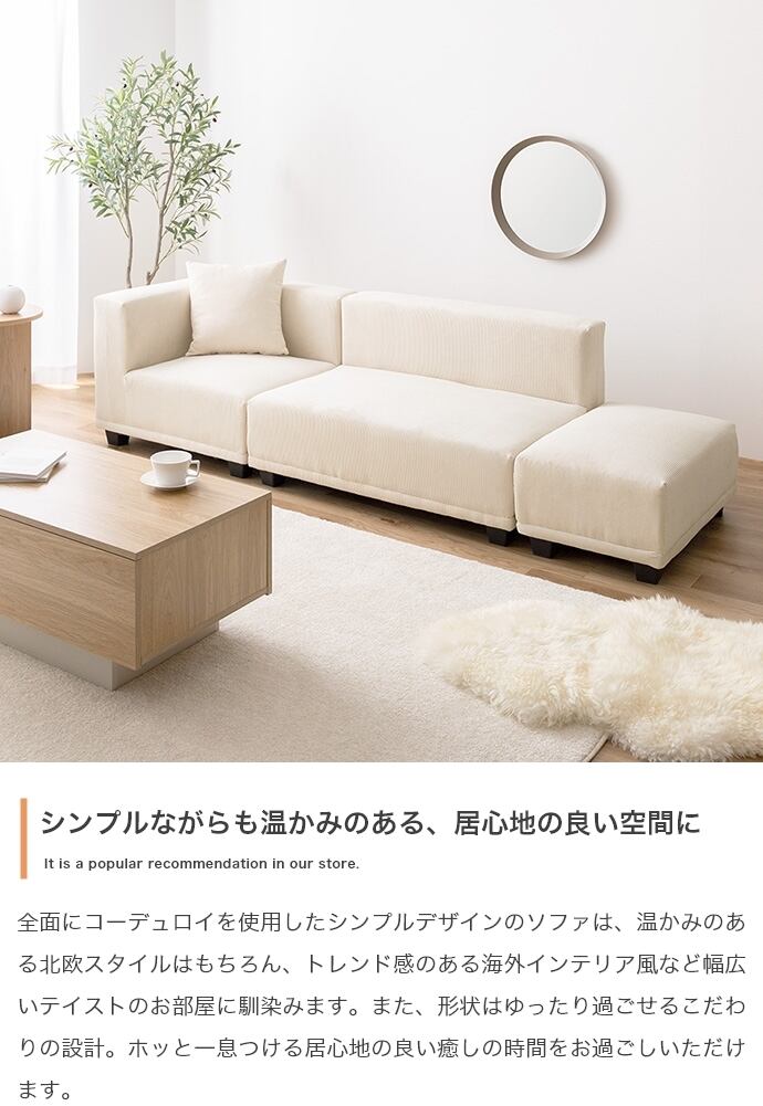 [単品] 2人掛けソファ 北欧テイスト 海外インテリア風 エコロファニチャー